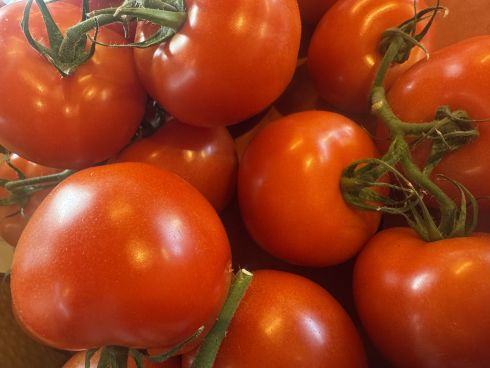 pomidory na gałązce (500g)